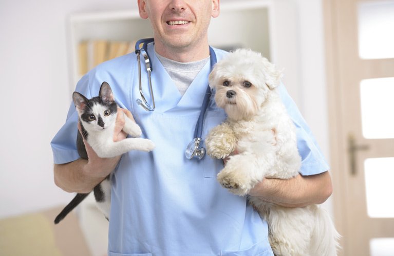Smithfield Veterinary Services Veterinarian with cat and dog