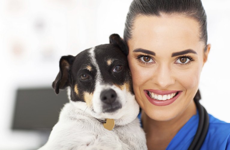 Smithfield Veterinary Services Caring Veterinarian