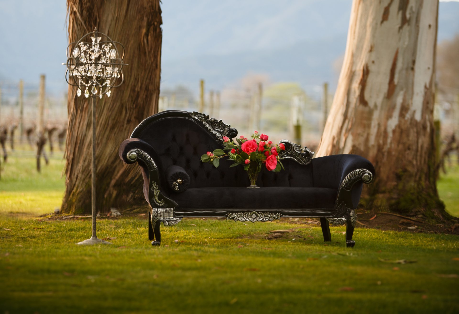 Vevents Specialty Hire items