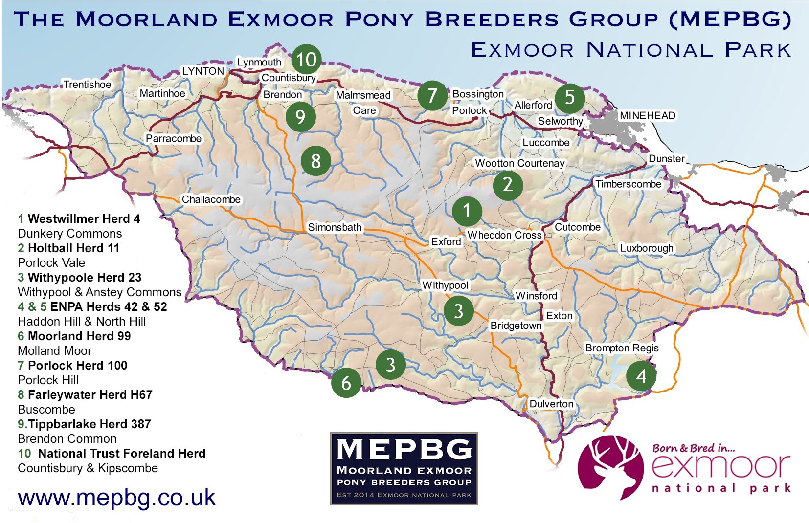 Safeguarding Exmoor Ponies of Exmoor National Park