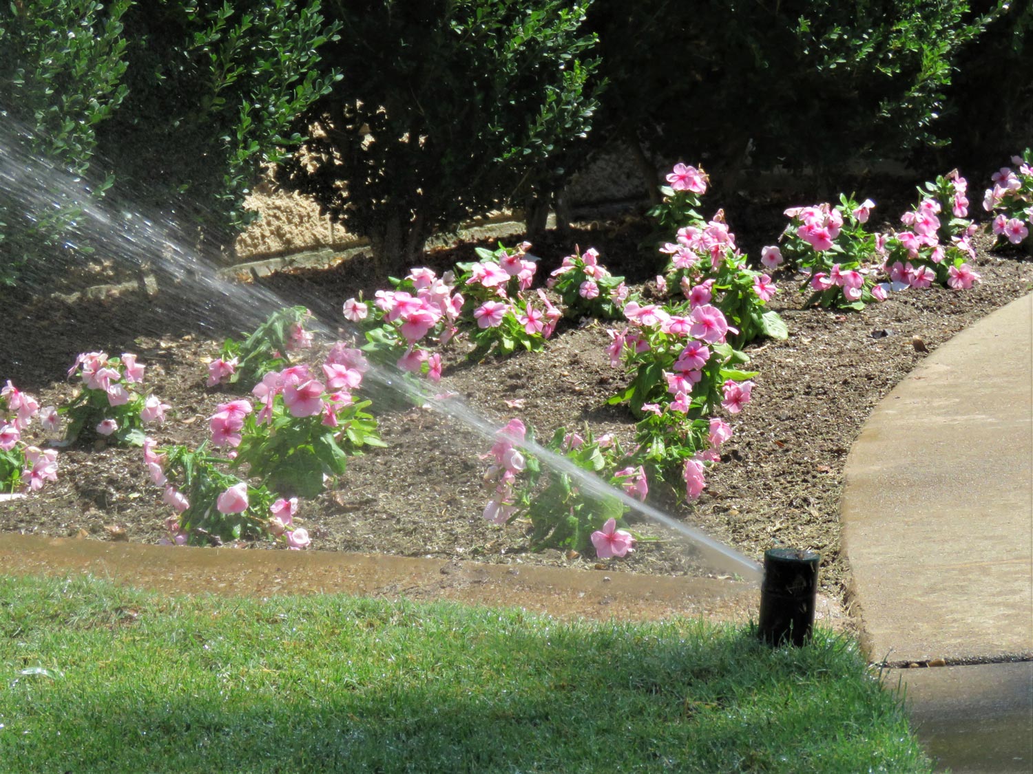 Irrigation Services Chattanooga, TN Coddington Enterprise