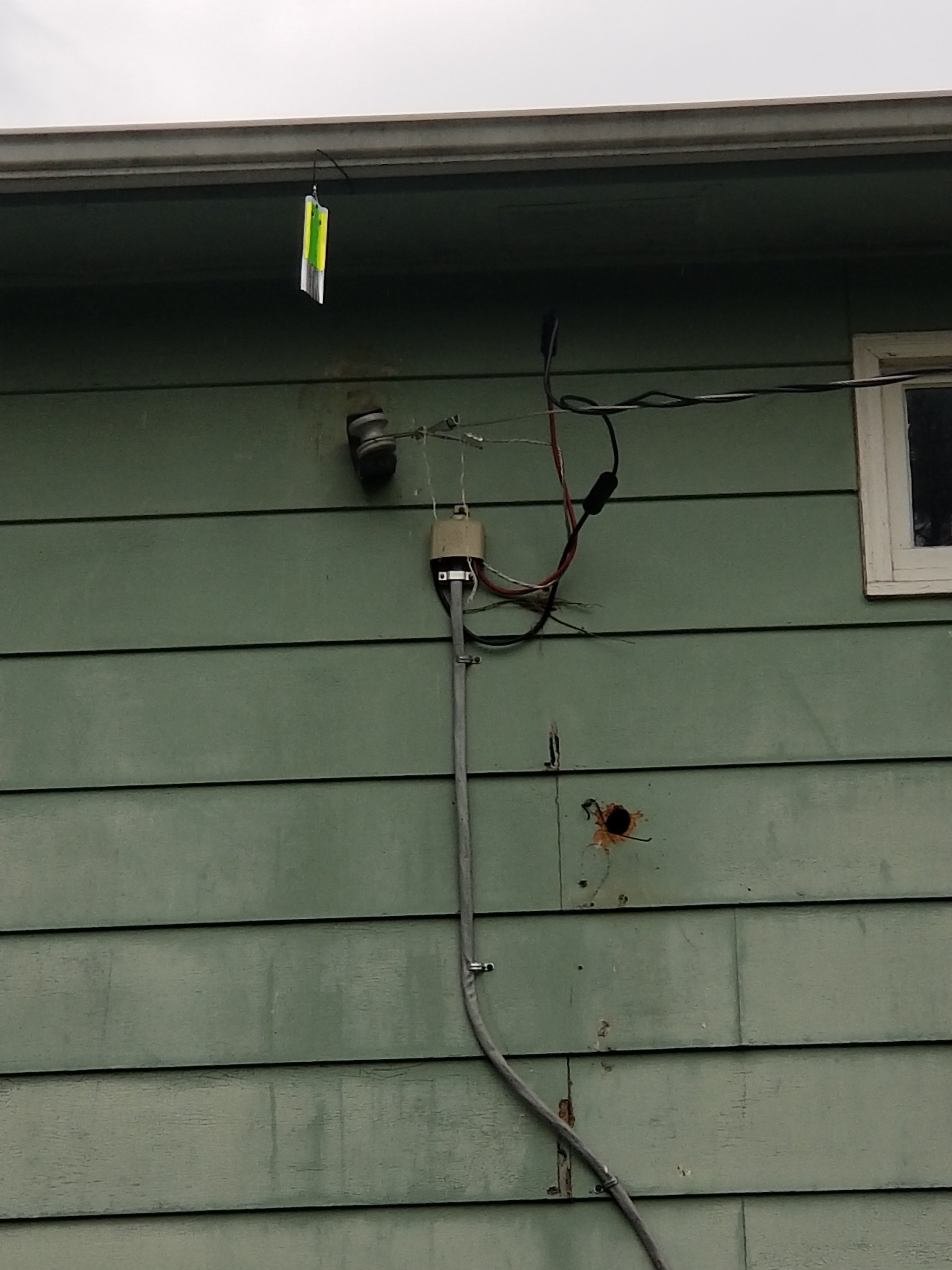 Woodpecker Deterrent Montgomery County, OH AllPest Pest Control