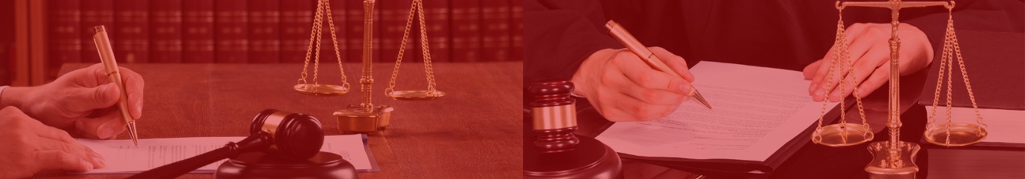 Lawyer checking the legal documents