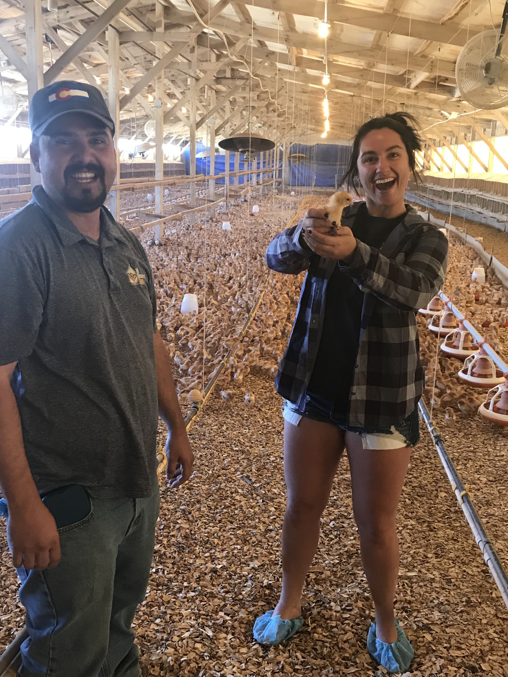 About Us Hi Desert Egg