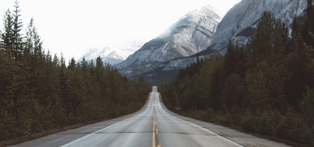 a team with a leader and social meetings