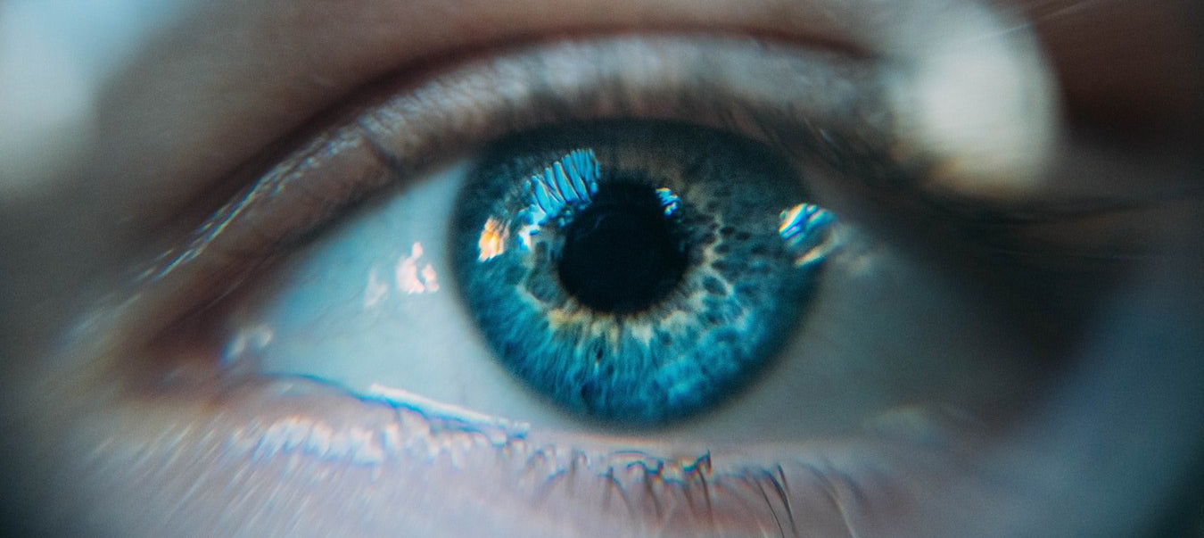 high performing teams