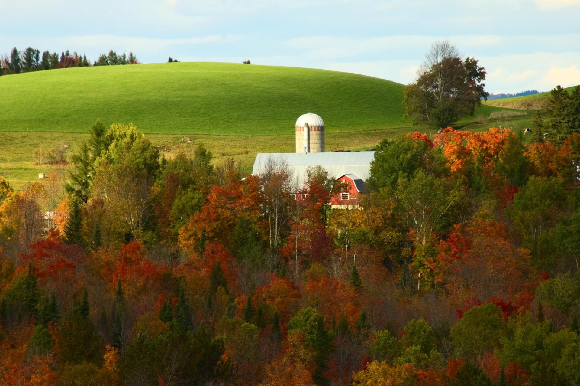 Vermont Journal of Environmental Law