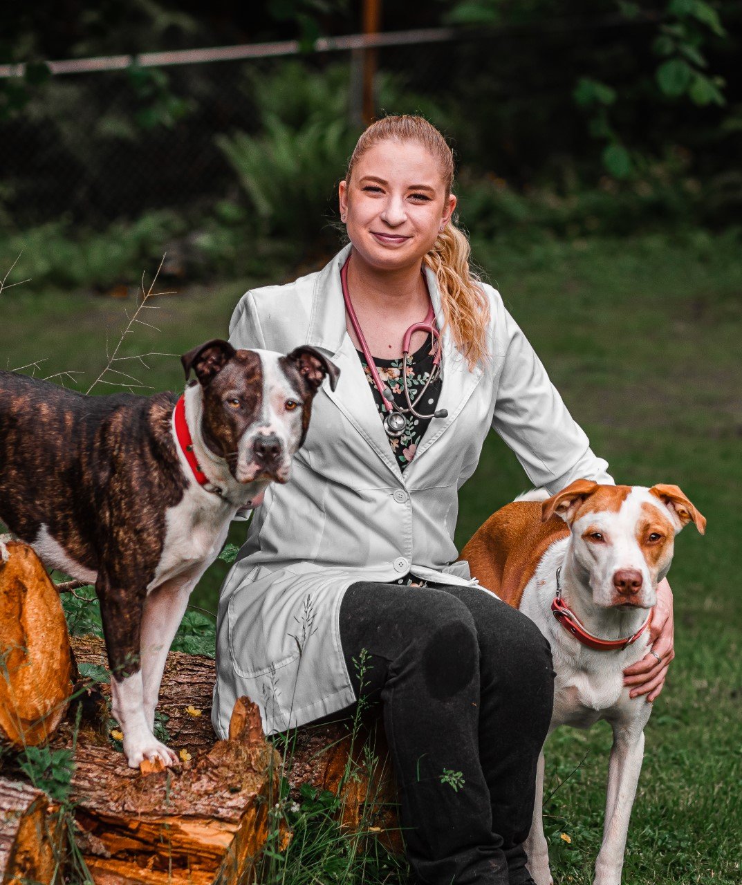 South Seattle Veterinary Hospital Seattle, Washington