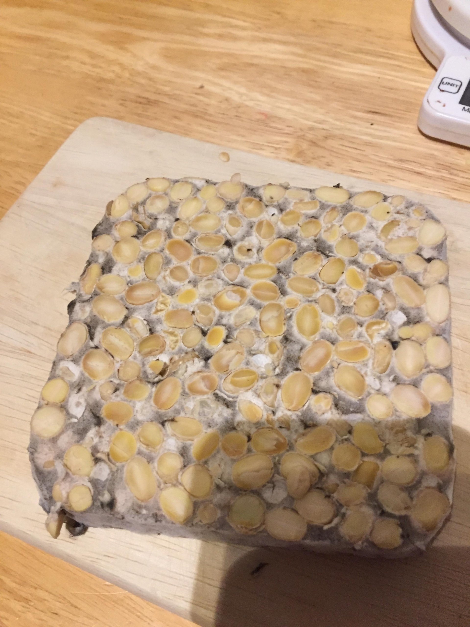 A collection of tempeh diagnosis