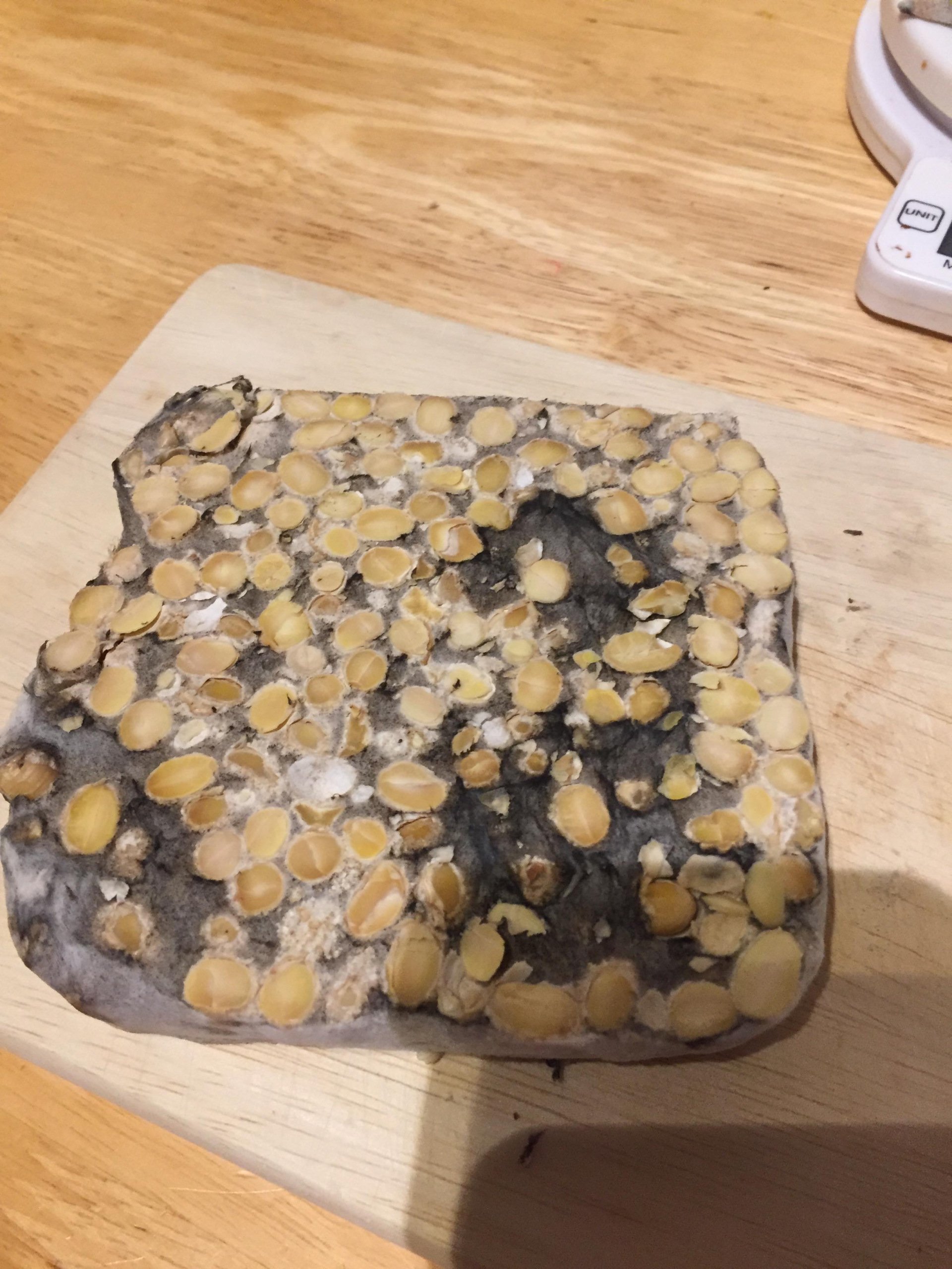 A collection of tempeh diagnosis