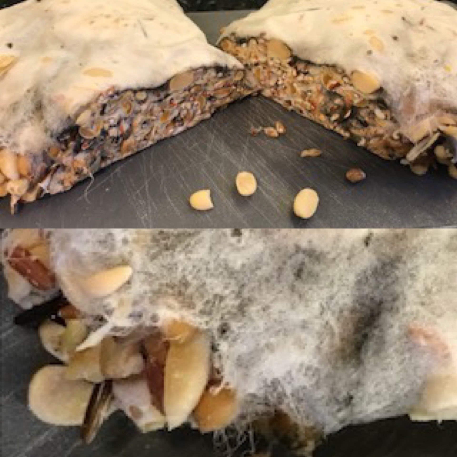 Black spores, the most asked question