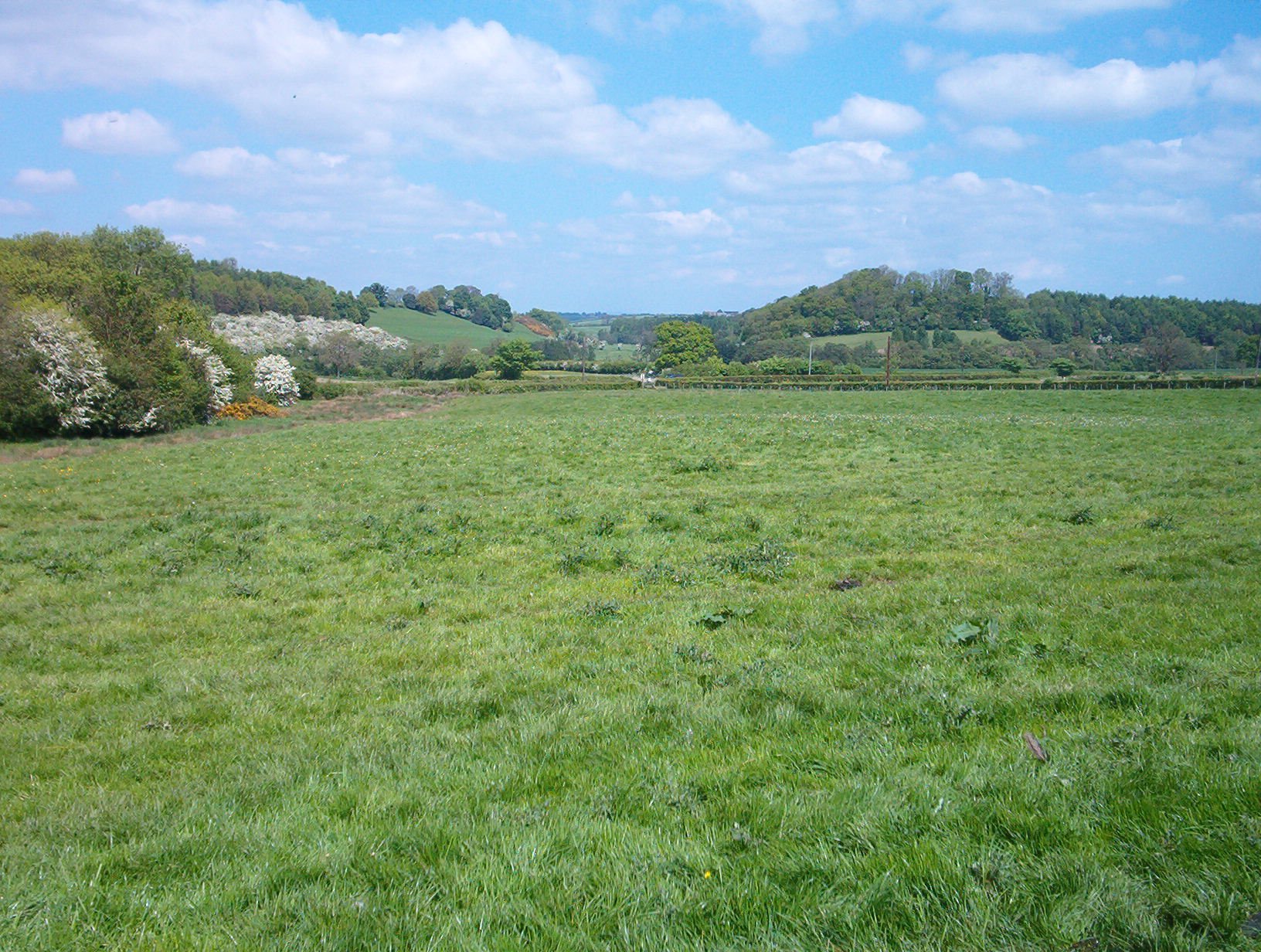 A premier dog kennel Church Farm Kennels