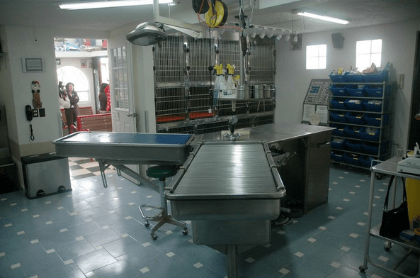 hospital veterinario