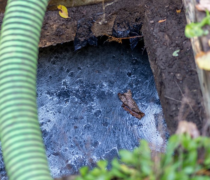 Grease Trap Services Des Moines, IA Davis Septic Tank