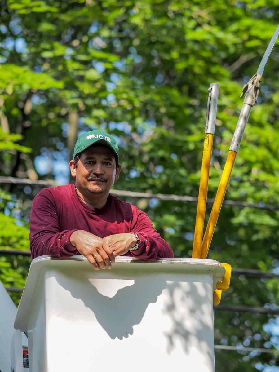 Tree Service Stratford, CT Tree Service Stratford Tree Service Stratford Tree Service Stratford, CT