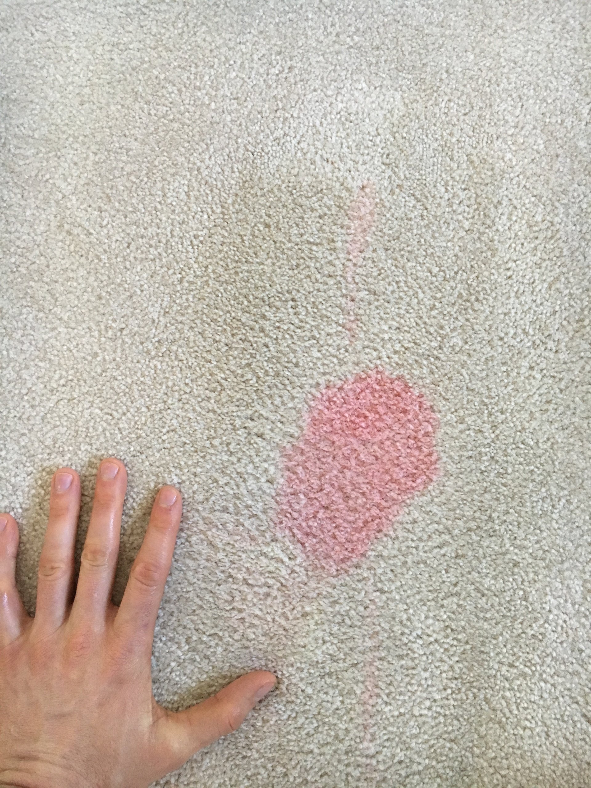 Carpet & Rug Stain & Odour Removal Edmonton Jupiter Carpet Care