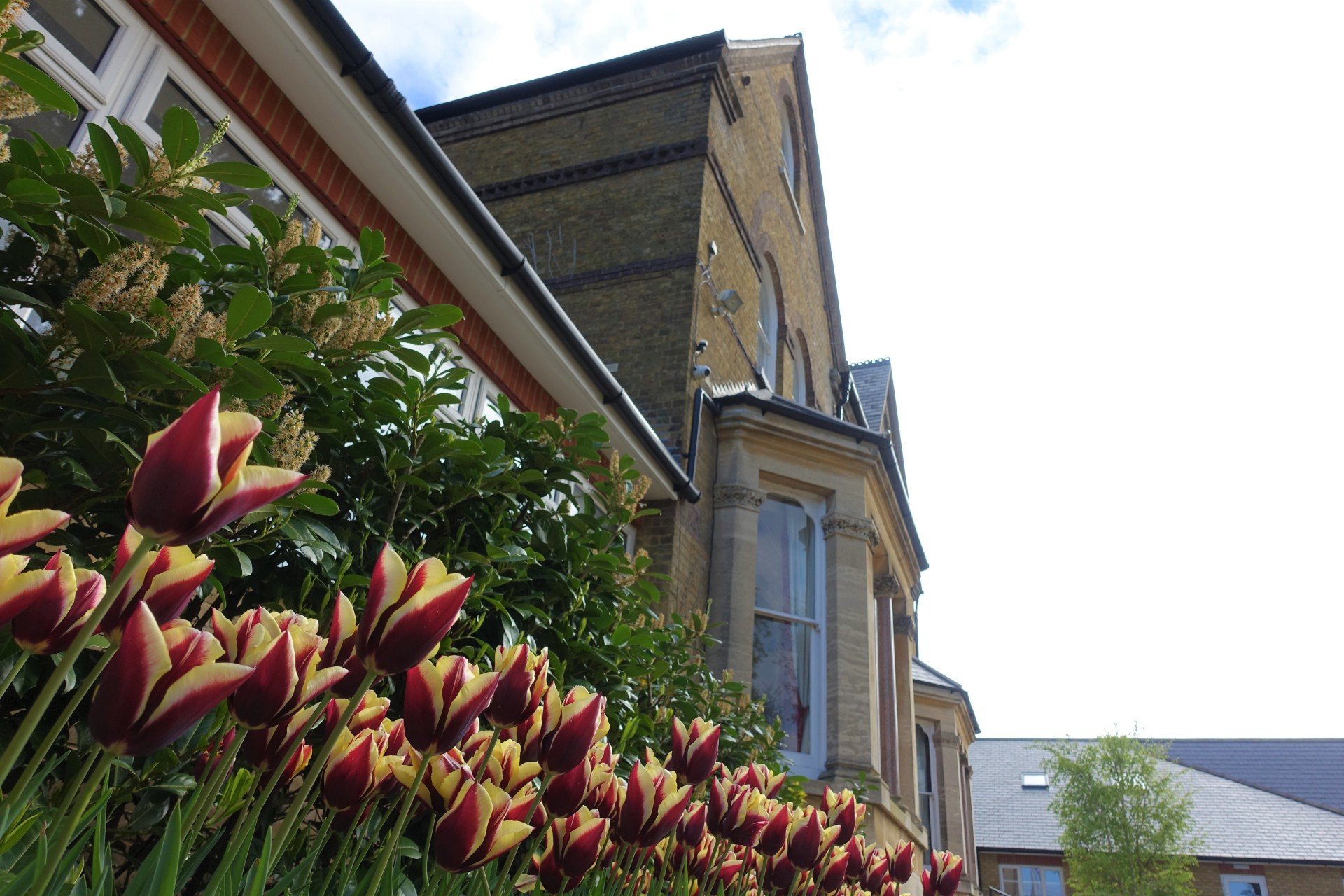 Nursing home The Lindens