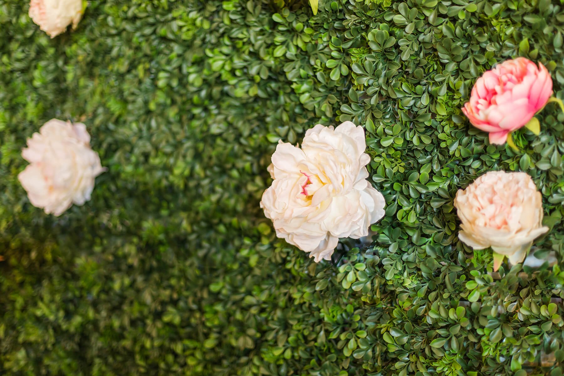 Pru & Co Ltd Upcycling Furniture in Blenheim NZ