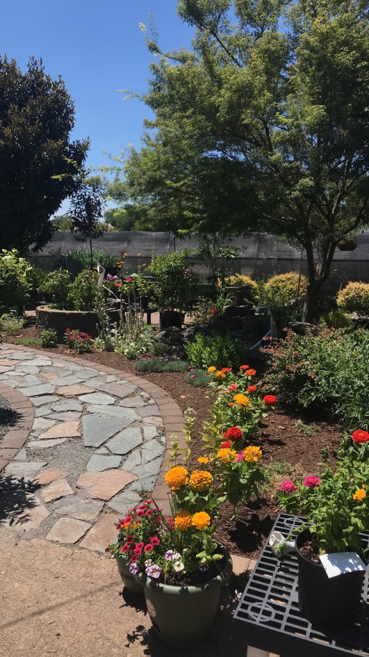 Landscaping Virginia Beach, VA Four Seasons Nursery