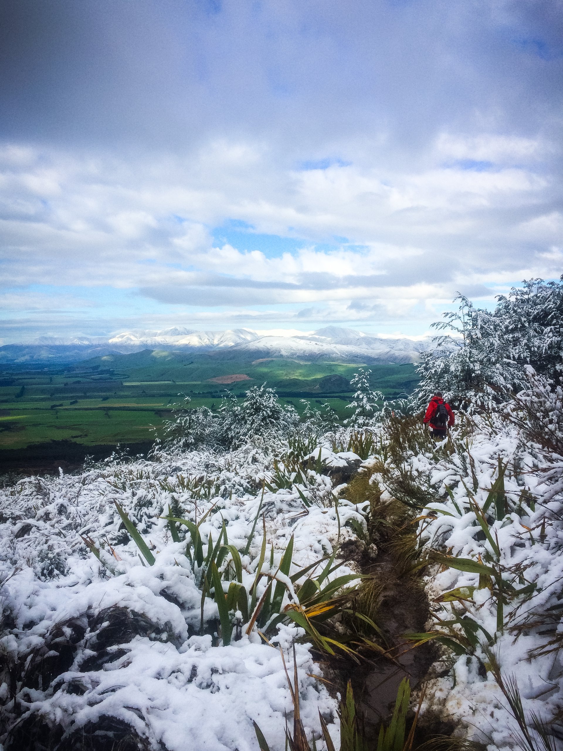 Gallery Mission Mt Somers Mt Somers Run