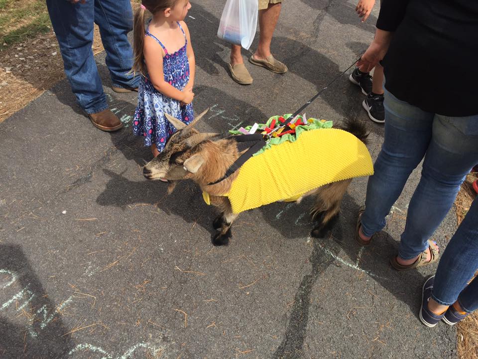 Arkansas Goat Festival Photos