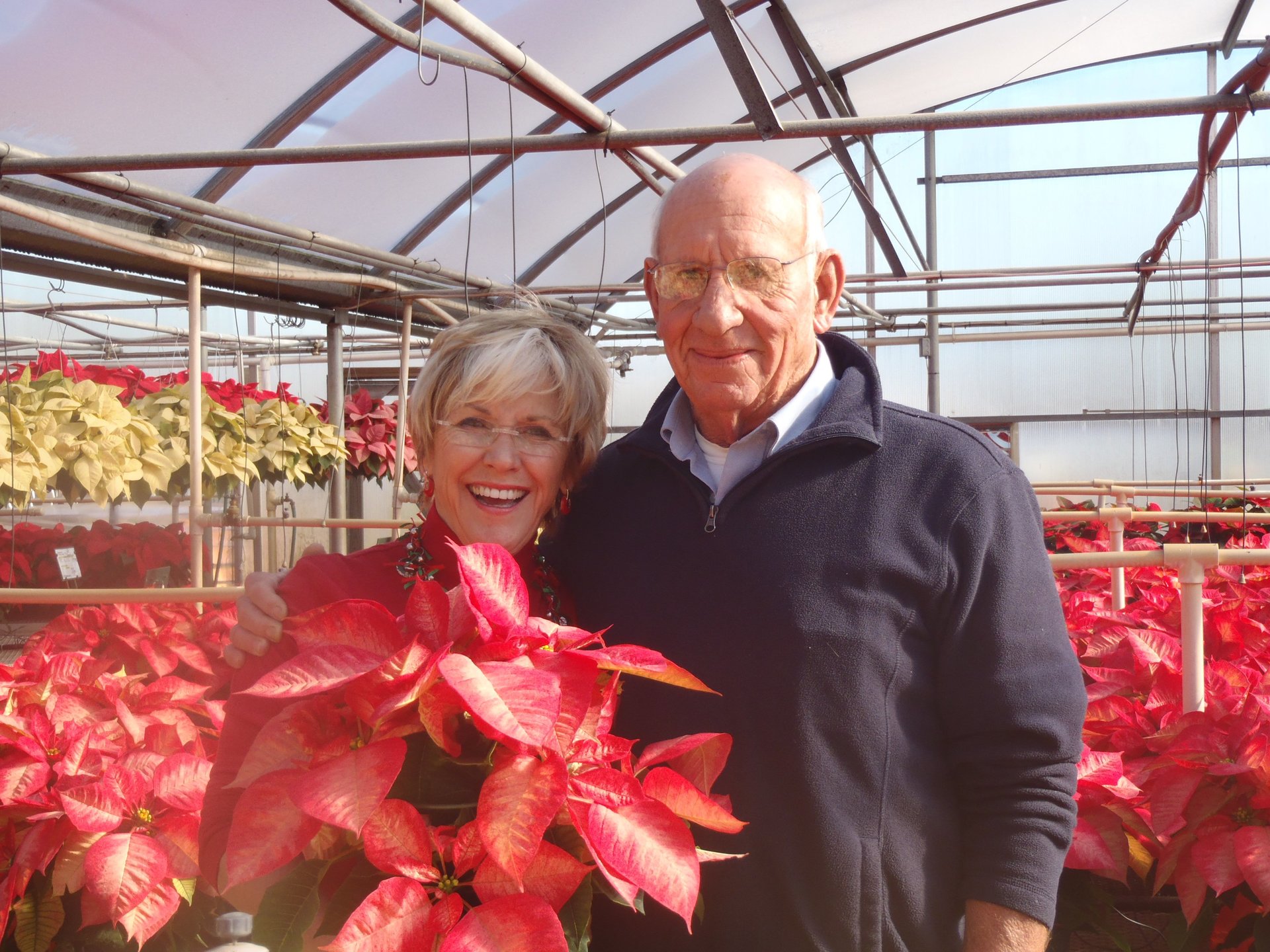 Plant Greenhouses Wilmington, NC Garden Center & Gift Shop