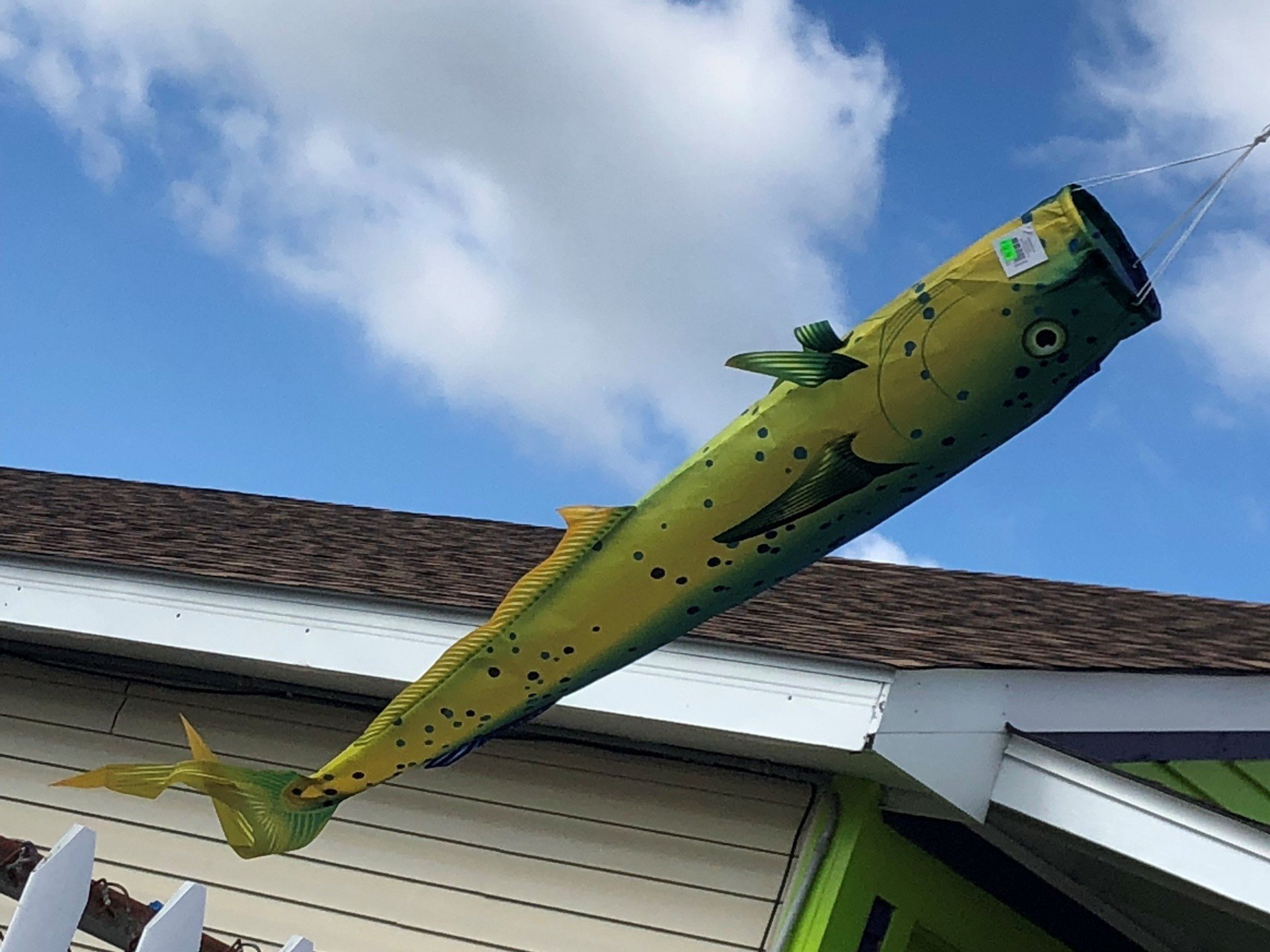 Plant Greenhouses Wilmington, NC Garden Center &amp; Garden