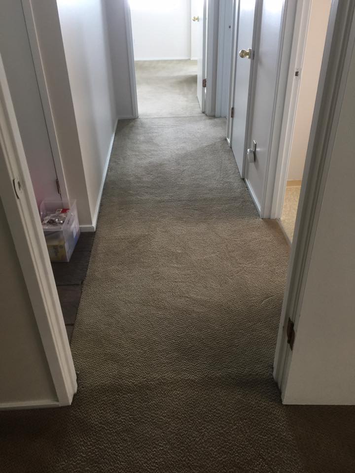 Carpet Stretching and Restretching in Seattle, WA Carpets by Chris