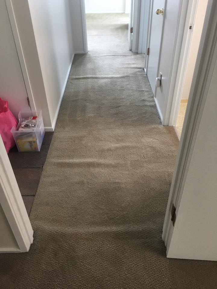 Carpet Stretching and Restretching in Seattle, WA Carpets by Chris