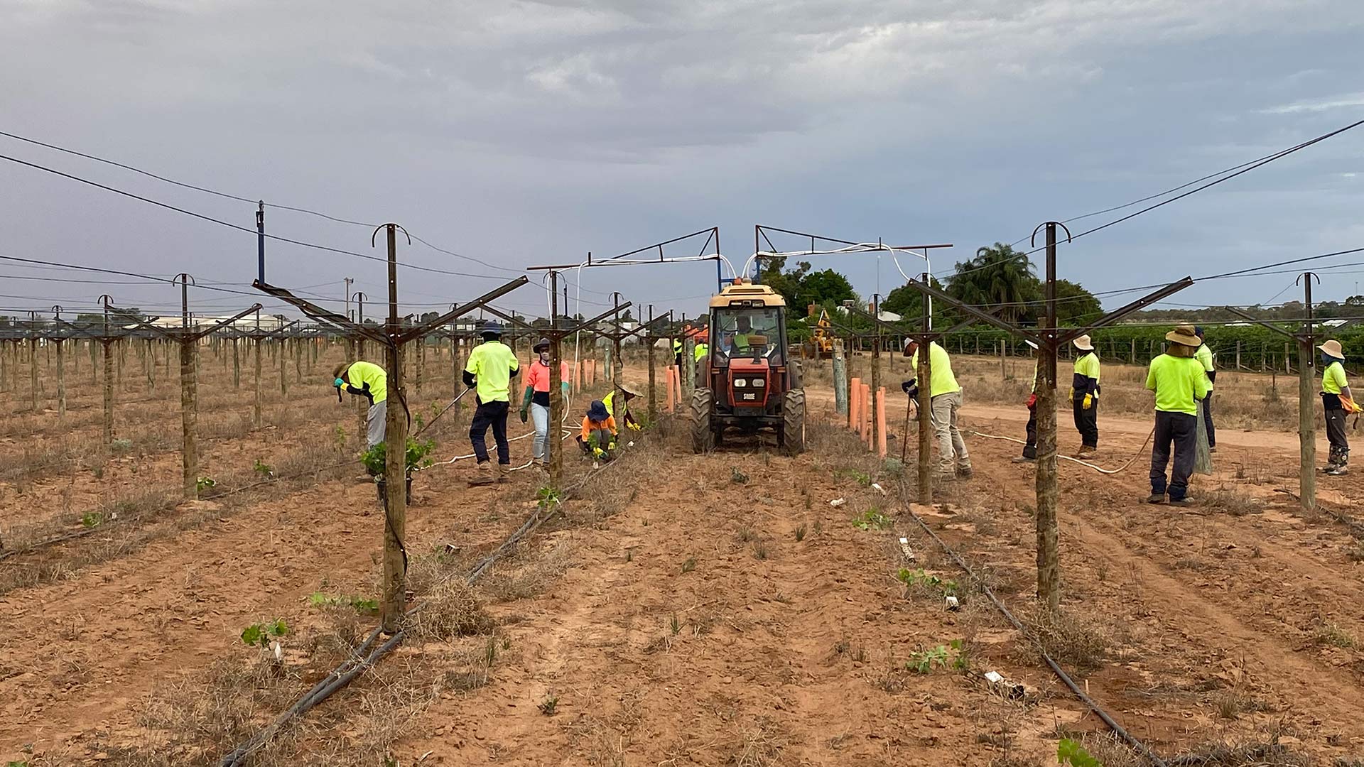 Gallery CT Vineyards Pty Ltd