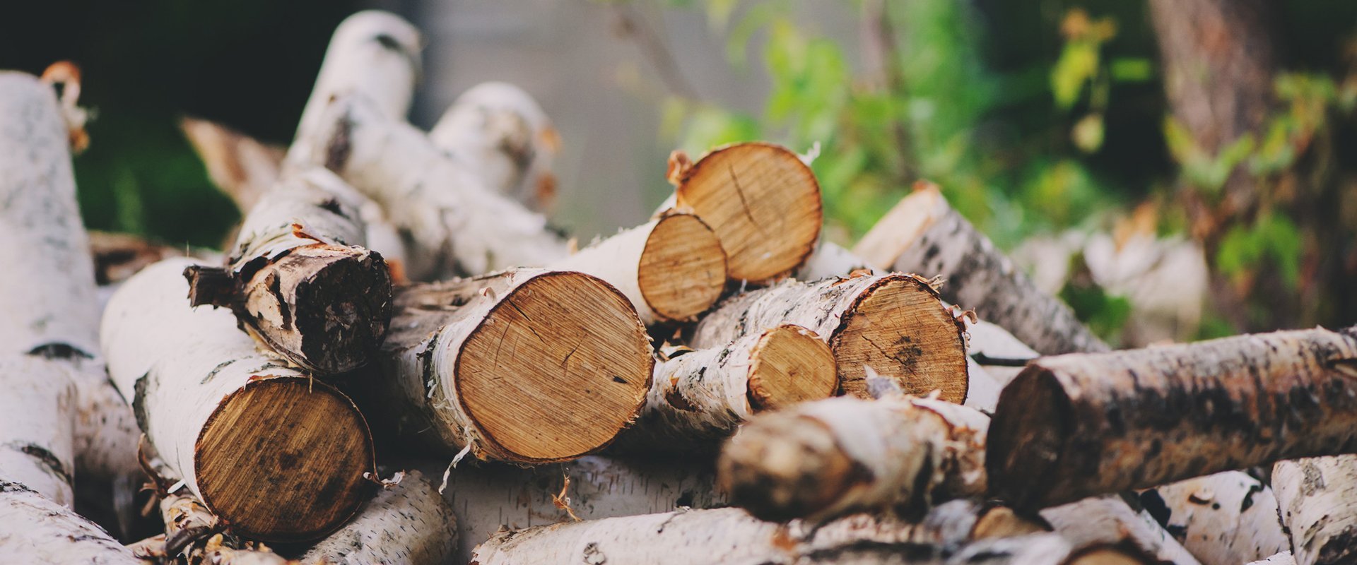 Firewood for Sale NT Trees