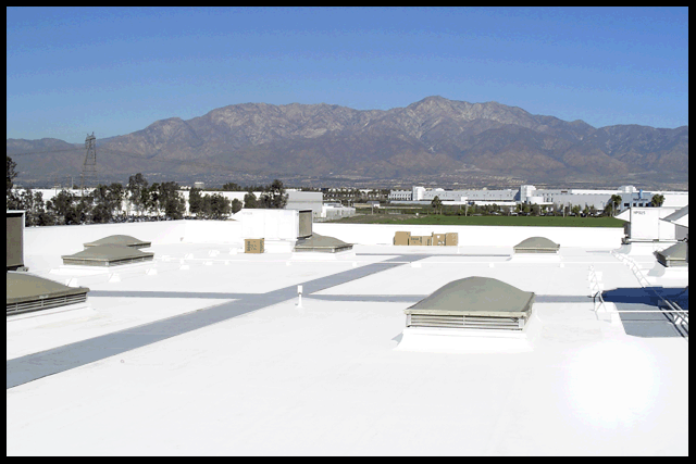A white commercial roof with skylights and gray pathways, with mountains in the background under a clear blue sky.