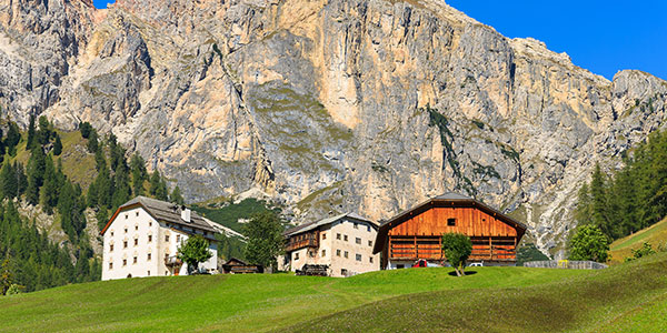Tre case in montagna, vista di una montagna, dei pini e prato verde 