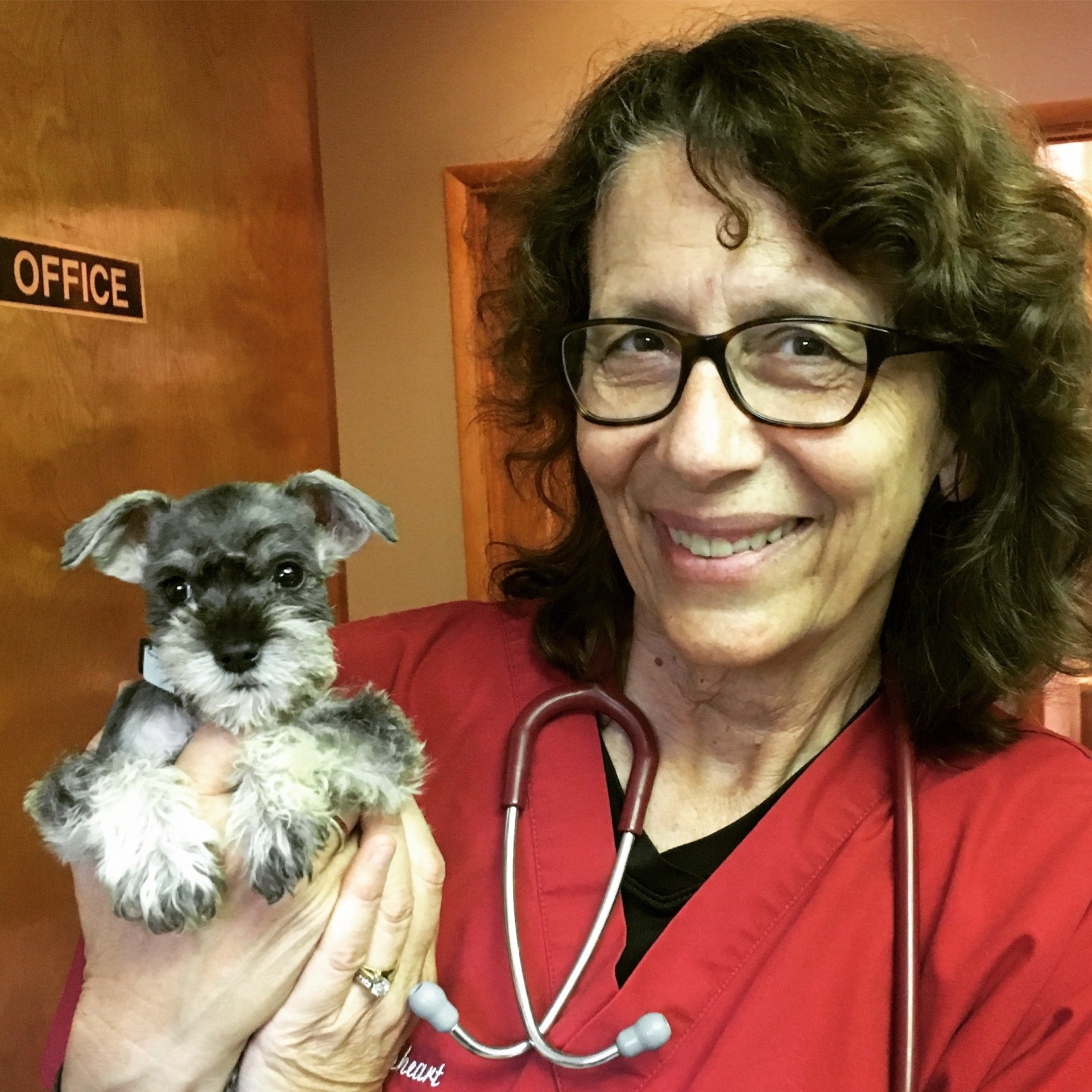 Veterinary Clinic Diamond Bar, CA Our Mission