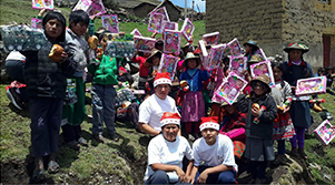 Distribuidor Logístico Z & P SAC