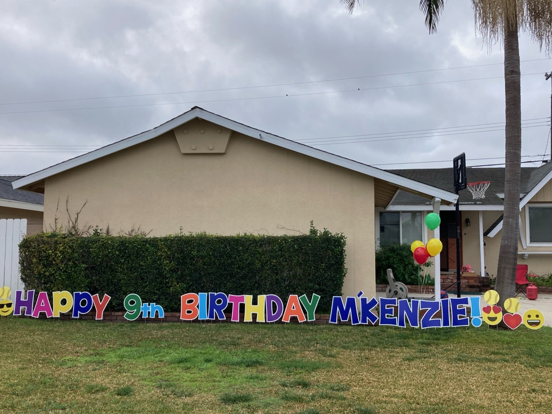Party Yard Signs, Yard Signs at Party City, Sarasota, FL
