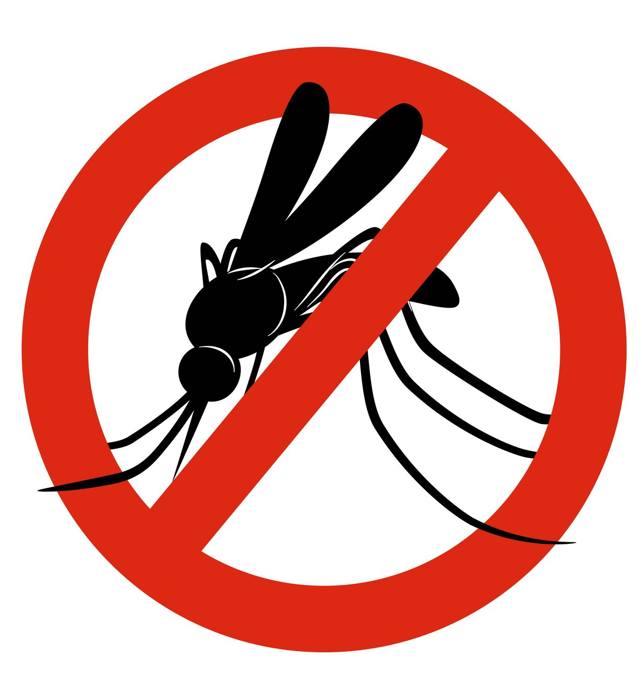 Baine Termite and Pest Control - Irmo, Columbia & Lexington SC - Pest