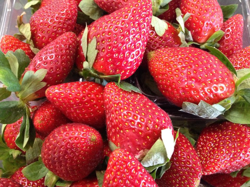 Nardi Produce Pty Ltd Fresh fruit Geelong