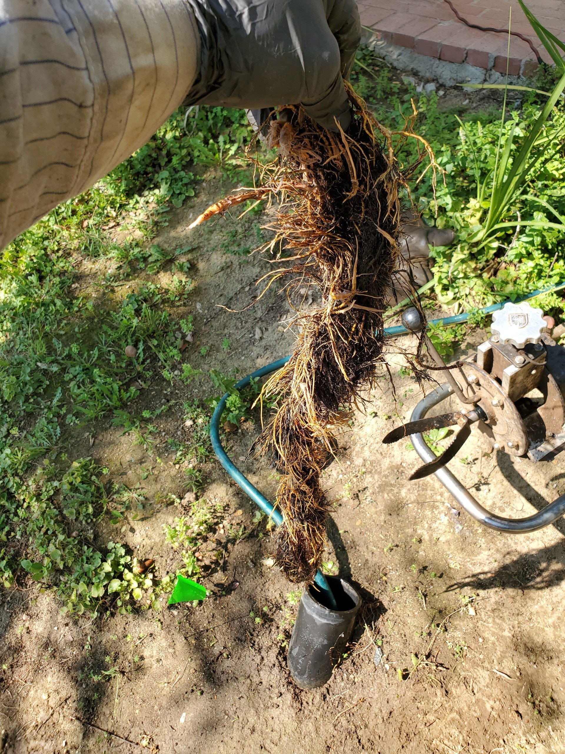 LA HydroJet & Rooter Service, Inc.