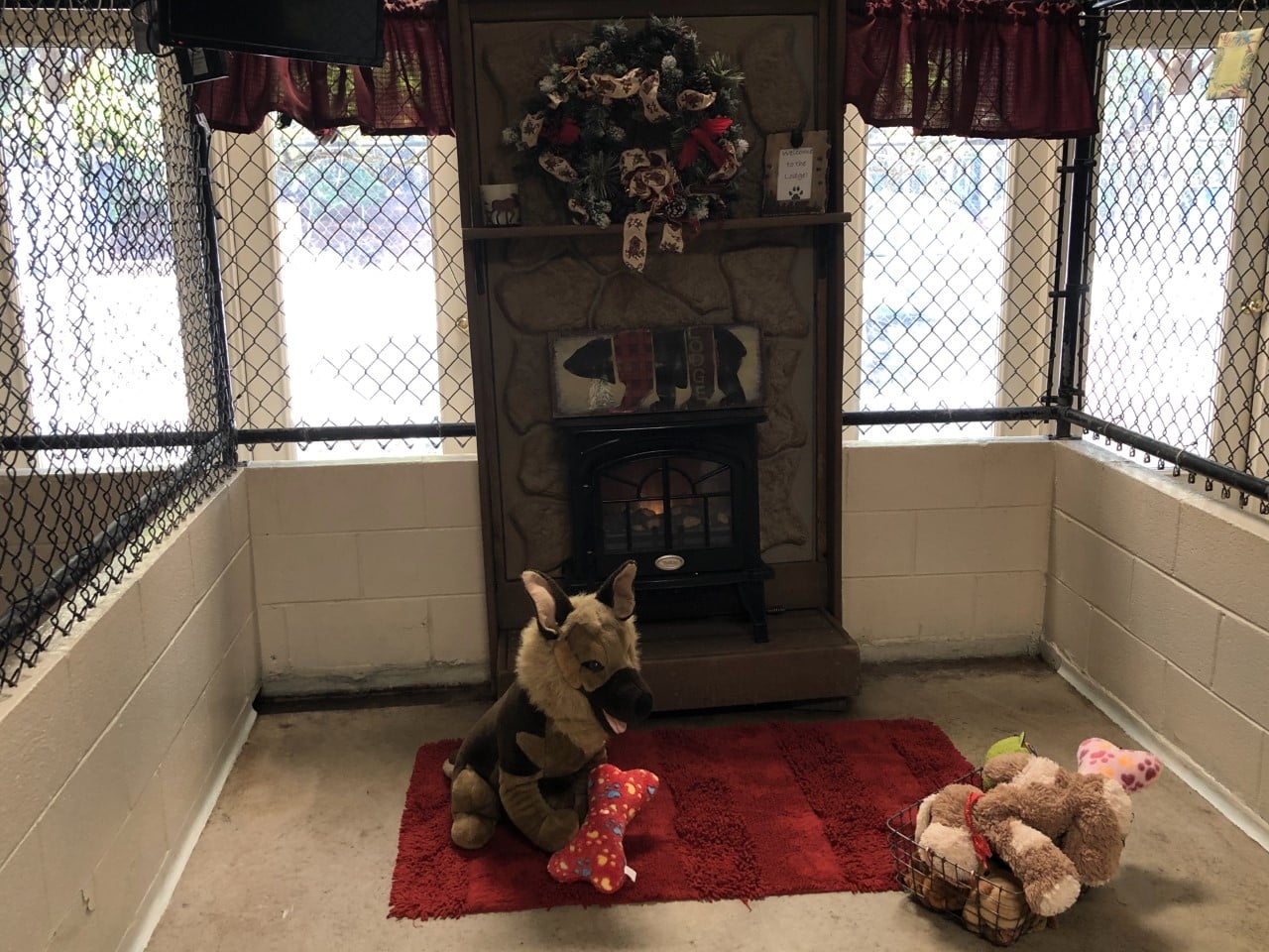 Animal Care Services Apex, NC Town and Country Animal Care