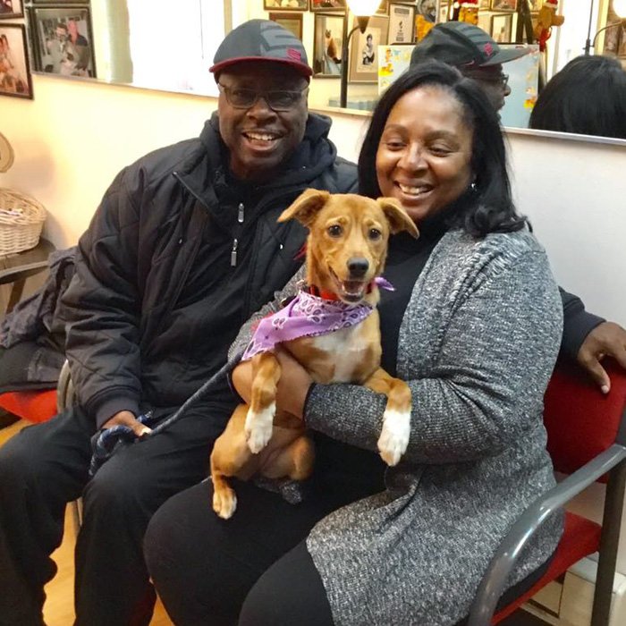 Malibu Pet Hotel 5163796040 Nassau County's BEST Pet Care Service