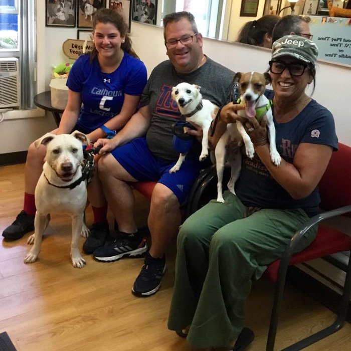 Malibu Pet Hotel 5163796040 Pet Care Service Pet Boarding Dog