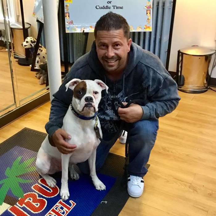 Malibu Pet Hotel 5163796040 Nassau County's BEST Pet Care Service