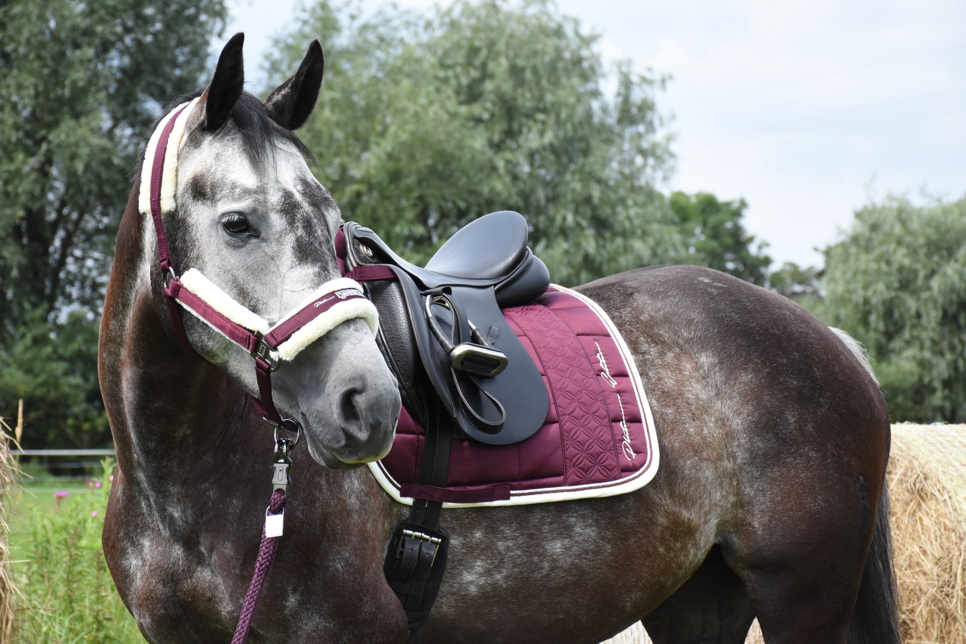 Curana Steun van het Spatbord - 28 Inch