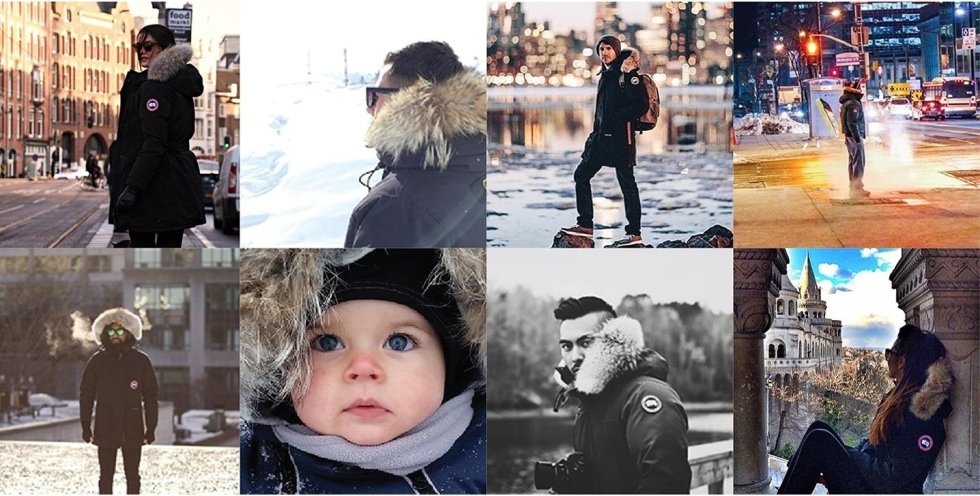 Canada Goose Todos aman Canada Goose Todos aman