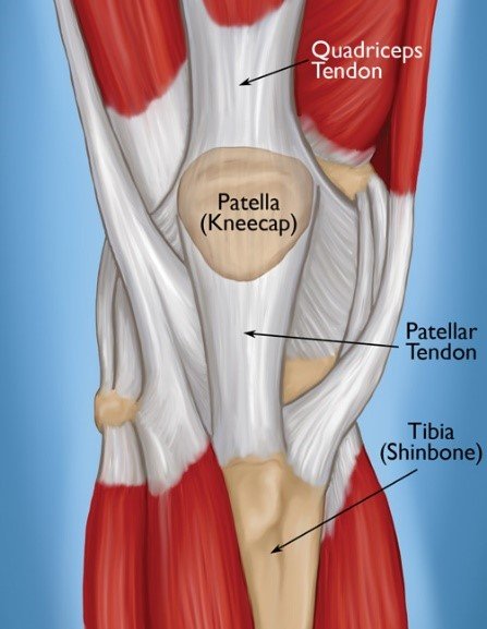 does ghk-cu help with patellar tendonities Effective Exercises to Reduce Knee Pain From Tendonitis Physical therapy in Reading, Sinking