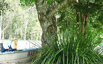 cowarra park preschool and long day care boat placed near tree