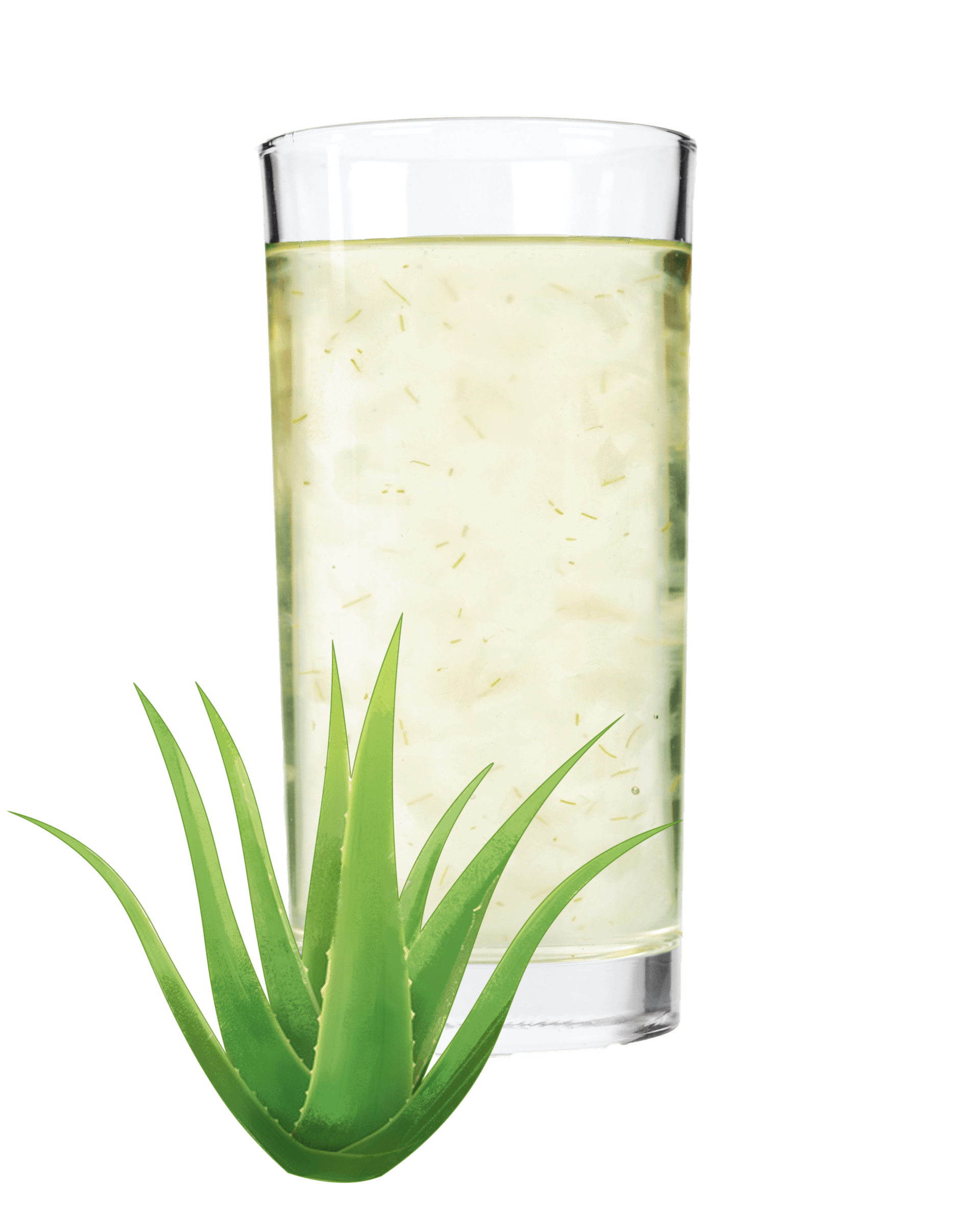 Tout connaître de l'aloe vera bio Essentiel Nature Cosmétique — free download