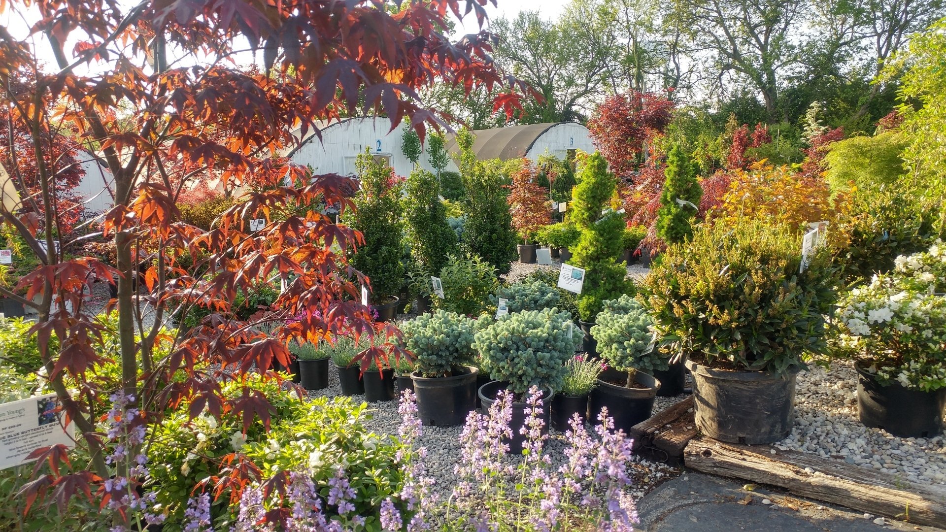 Glynn Young’s Landscaping and Nursery Center Nursery Center