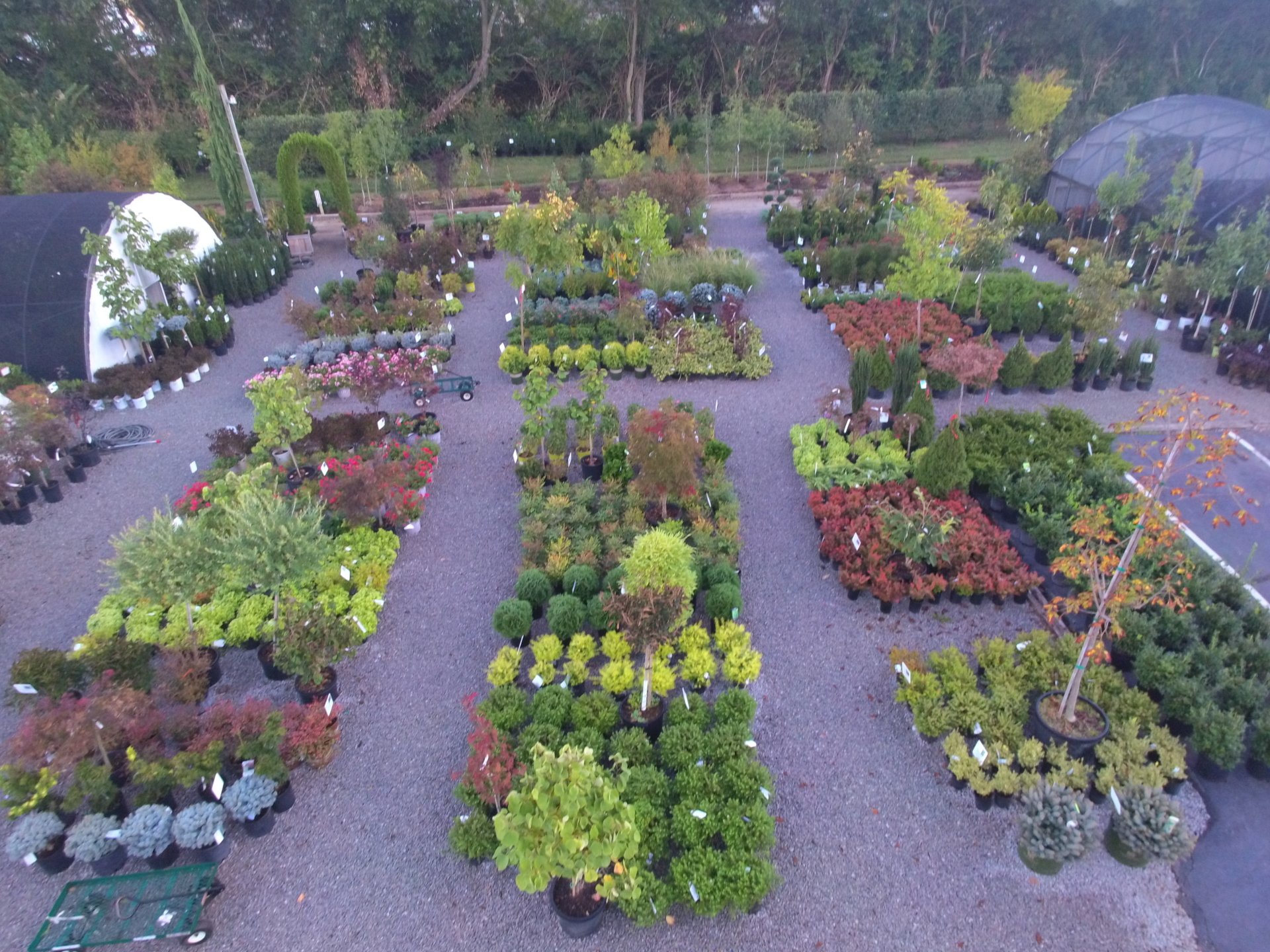 Garden Center & Tree Nursery in Nicholasville, KY Glynn Young's